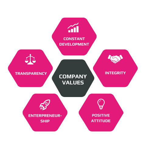 Company values v1